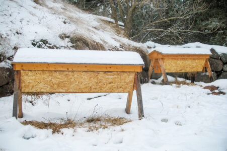 Preparing Top-Bar Honeybee Hives for Winter Image